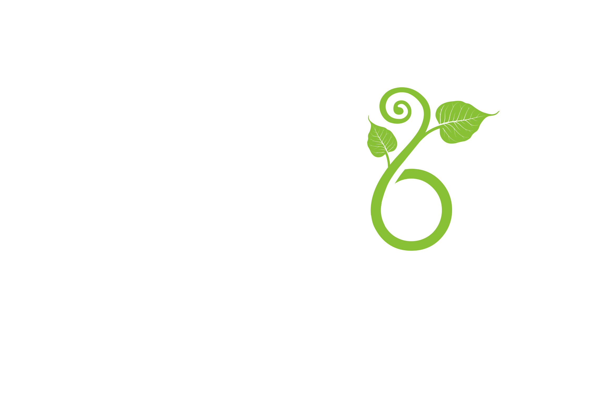 The Shadow Practice